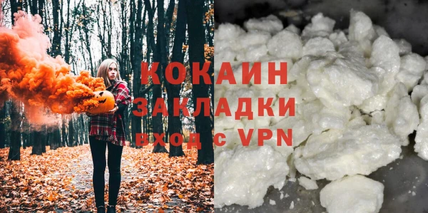 дживик Арсеньев