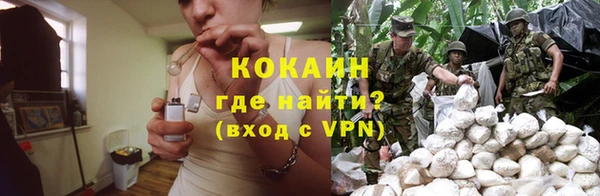 дживик Арсеньев