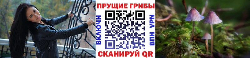 Галлюциногенные грибы прущие грибы Уржум